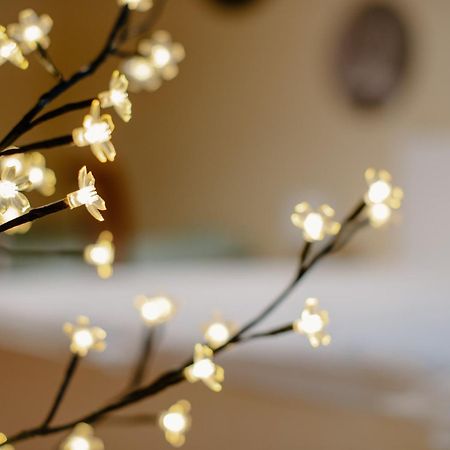 Apartman Dobre Rano Banská Štiavnica Eksteriør billede